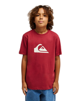 The Quiksilver Boys Boys Comp Logo T-Shirt in Burnt Russet
