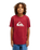 The Quiksilver Boys Boys Comp Logo T-Shirt in Burnt Russet
