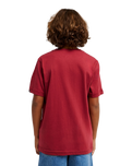 The Quiksilver Boys Boys Comp Logo T-Shirt in Burnt Russet