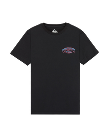 The Quiksilver Boys Boys Palm Horizon T-Shirt in Black