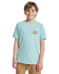 The Quiksilver Boys Boys Fruits Tide T-Shirt in Blue Haze