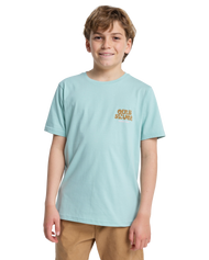 The Quiksilver Boys Boys Fruits Tide T-Shirt in Blue Haze