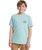 The Quiksilver Boys Boys Fruits Tide T-Shirt in Blue Haze