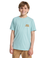 The Quiksilver Boys Boys Fruits Tide T-Shirt in Blue Haze