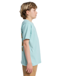 The Quiksilver Boys Boys Fruits Tide T-Shirt in Blue Haze