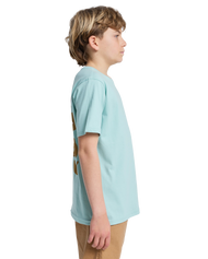 The Quiksilver Boys Boys Fruits Tide T-Shirt in Blue Haze