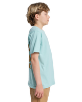 The Quiksilver Boys Boys Fruits Tide T-Shirt in Blue Haze