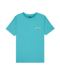 The Quiksilver Boys Boys Urban Nomad 1 T-Shirt in Aqua