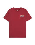 The Quiksilver Boys Boys Cosmic T-Shirt in Burnt Russet
