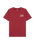 The Quiksilver Boys Boys Cosmic T-Shirt in Burnt Russet