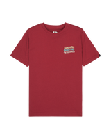 The Quiksilver Boys Boys Cosmic T-Shirt in Burnt Russet