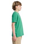 The Quiksilver Boys Boys Heritage T-Shirt in Leprechaun