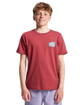 The Quiksilver Boys Boys Heritage T-Shirt in Burnt Russet
