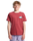 The Quiksilver Boys Boys Heritage T-Shirt in Burnt Russet