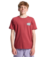 The Quiksilver Boys Boys Heritage T-Shirt in Burnt Russet