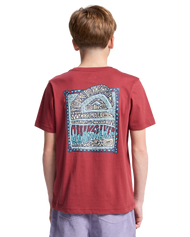 The Quiksilver Boys Boys Heritage T-Shirt in Burnt Russet