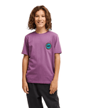 The Quiksilver Boys Boys Duality T-Shirt in Grape Jam