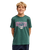 The Quiksilver Boys Boys Paradise Point T-Shirt in Forest