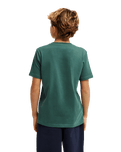The Quiksilver Boys Boys Paradise Point T-Shirt in Forest