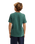The Quiksilver Boys Boys Paradise Point T-Shirt in Forest