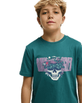 The Quiksilver Boys Boys Paradise Point T-Shirt in Forest