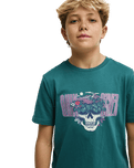 The Quiksilver Boys Boys Paradise Point T-Shirt in Forest