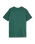 The Quiksilver Boys Boys Paradise Point T-Shirt in Forest