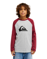 The Quiksilver Boys Boys Comp Raglan Long Sleeve T-Shirt in Oxblood Red