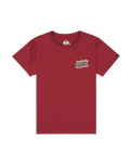 The Quiksilver Boys Boys EV Cosmic Character T-Shirt in Burnt Russet