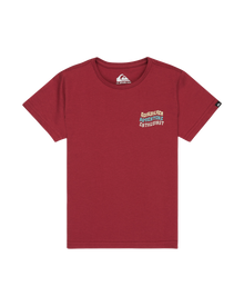 The Quiksilver Boys Boys EV Cosmic Character T-Shirt in Burnt Russet