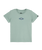 The Quiksilver Boys Boys Lantern T-Shirt in Iceberg Green