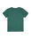 The Quiksilver Boys Boys MTB & Wave T-Shirt in Forest