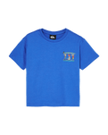 The Quiksilver Boys Boys Trucks T-Shirt in Dazzling Blue
