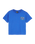 The Quiksilver Boys Boys Trucks T-Shirt in Dazzling Blue