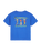 The Quiksilver Boys Boys Trucks T-Shirt in Dazzling Blue