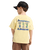 The Quiksilver Boys Boys Trucks T-Shirt in Straw