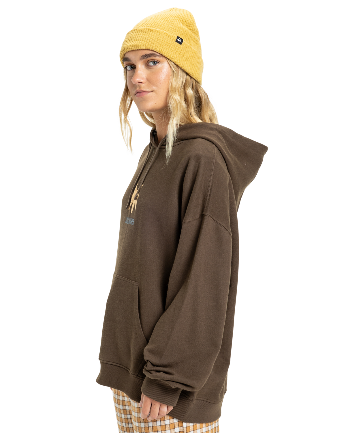 The Quiksilver  Womens Standard Hoodie in Chocolate Brown