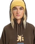 The Quiksilver  Womens Standard Hoodie in Chocolate Brown