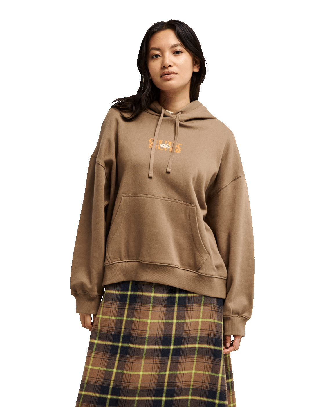 The Quiksilver Womens Standard Hoodie in Pine Bark