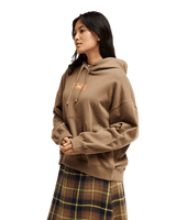 The Quiksilver Womens Standard Hoodie in Pine Bark