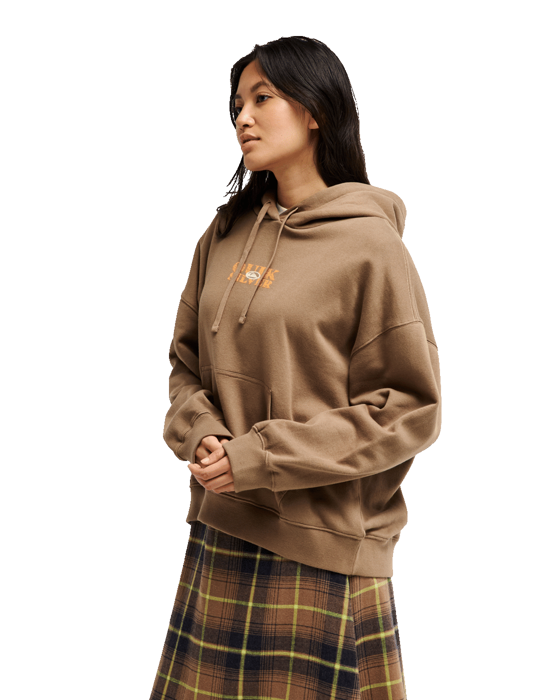 The Quiksilver Womens Standard Hoodie in Pine Bark