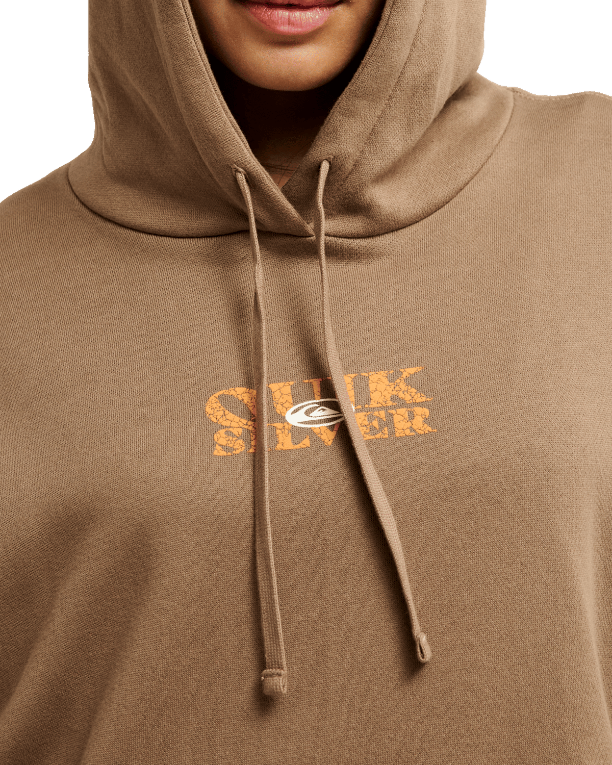 The Quiksilver Womens Standard Hoodie in Pine Bark