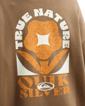 The Quiksilver Womens Standard Hoodie in Pine Bark