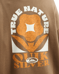 The Quiksilver Womens Standard Hoodie in Pine Bark