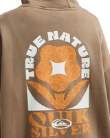 The Quiksilver Womens Standard Hoodie in Pine Bark