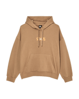 The Quiksilver Womens Standard Hoodie in Pine Bark