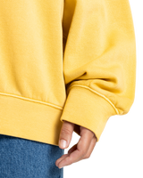 The Quiksilver  Womens Essential Sweatshirt in Rattan