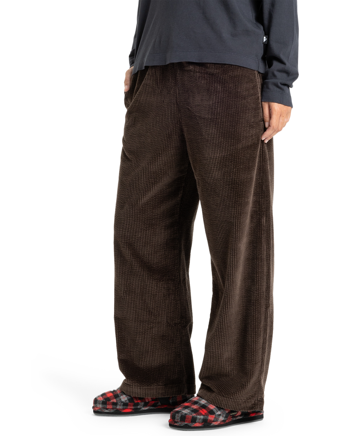 The Quiksilver  Womens Payarawa Trousers in Chocolate Brown