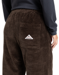 The Quiksilver  Womens Payarawa Trousers in Chocolate Brown
