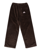 The Quiksilver  Womens Payarawa Trousers in Chocolate Brown